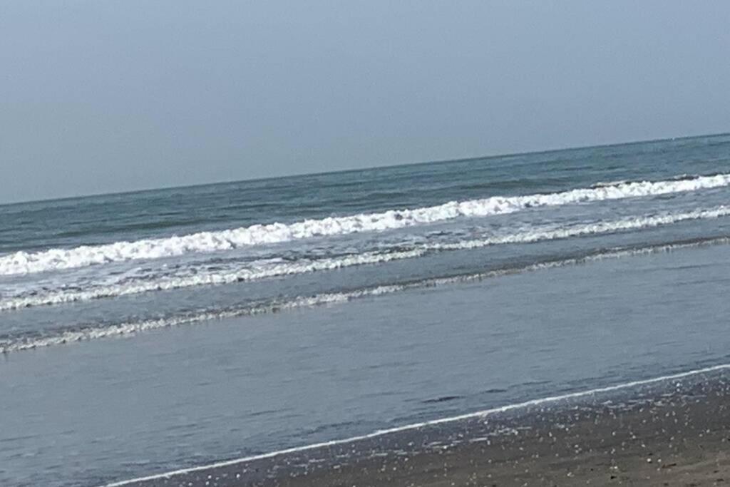 Forest View Luxury Apartment In 3Mins Walk To Beach Pool View Wifi Kololi Esterno foto
